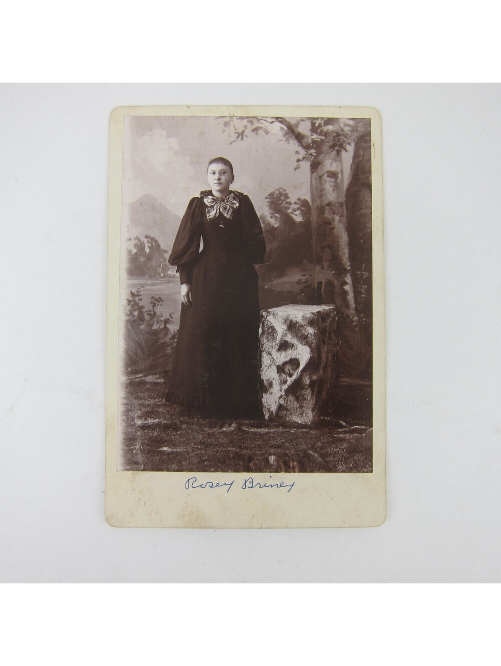 Cabinet Card Photograph Young Woman Dress Rosey Briney Raman Darke Ohio Antique